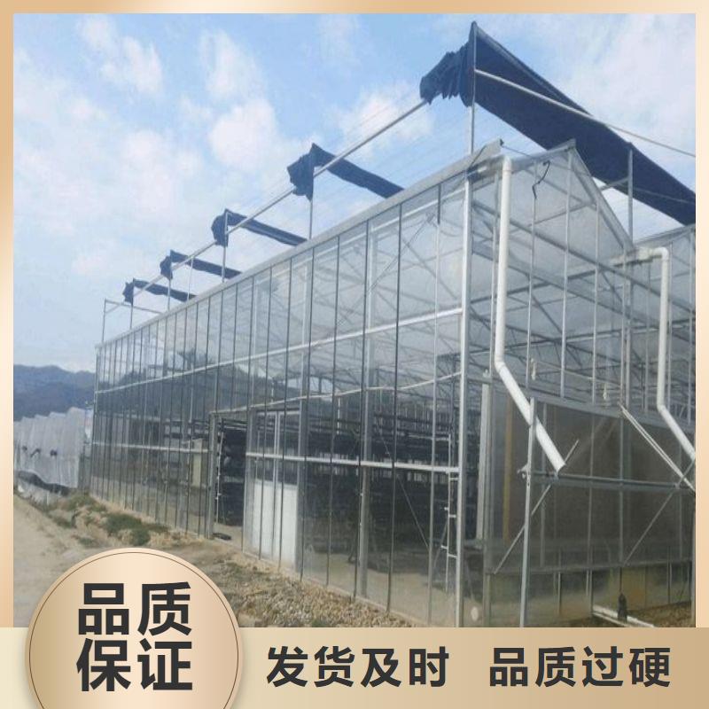 蒲縣連棟大棚結構圖詢問報價2025