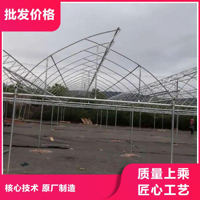 大余聯動大棚廠家現貨