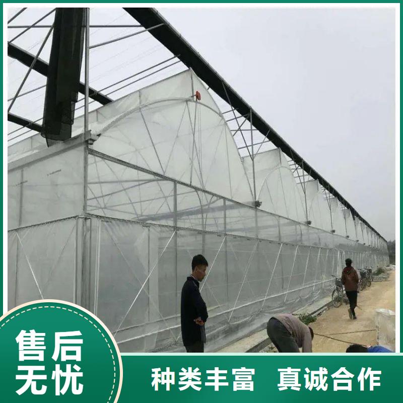 无棣种植单体大棚学校