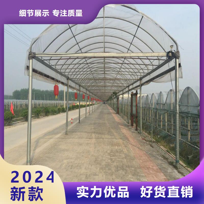 豐潤連棟大棚結構圖來圖定制2025