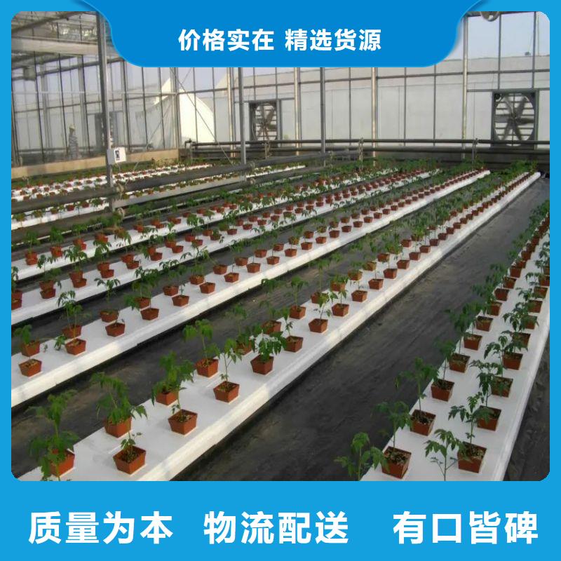 鏡湖無錫連棟大棚價格2025