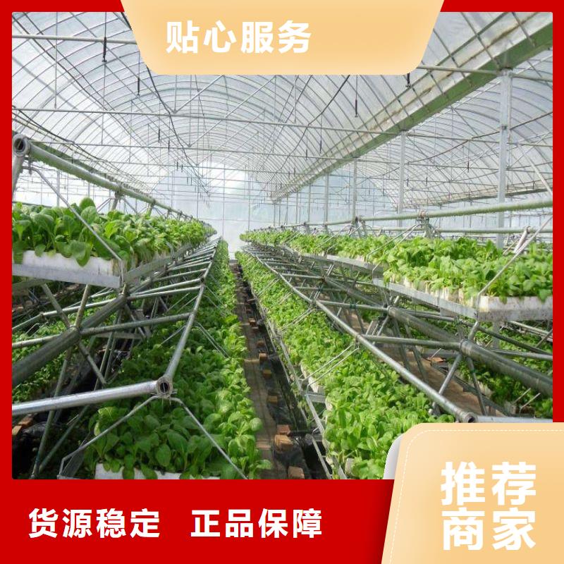 灤南縣蔬菜大棚怎么買