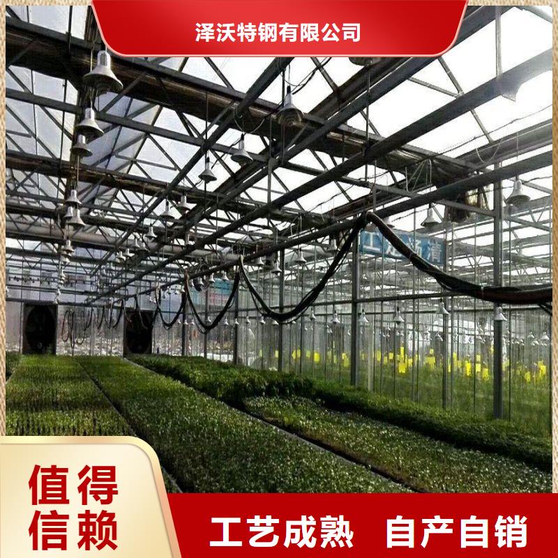 順平縣圓管大棚咋買