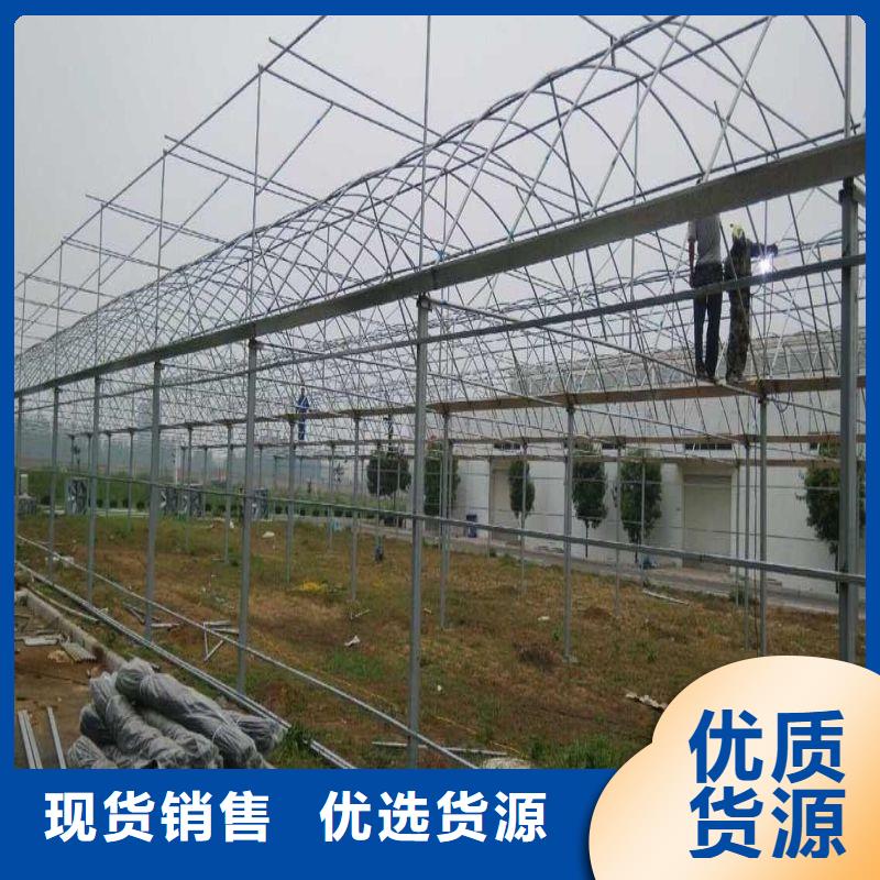 西秀連棟大棚圖片價格公道2025