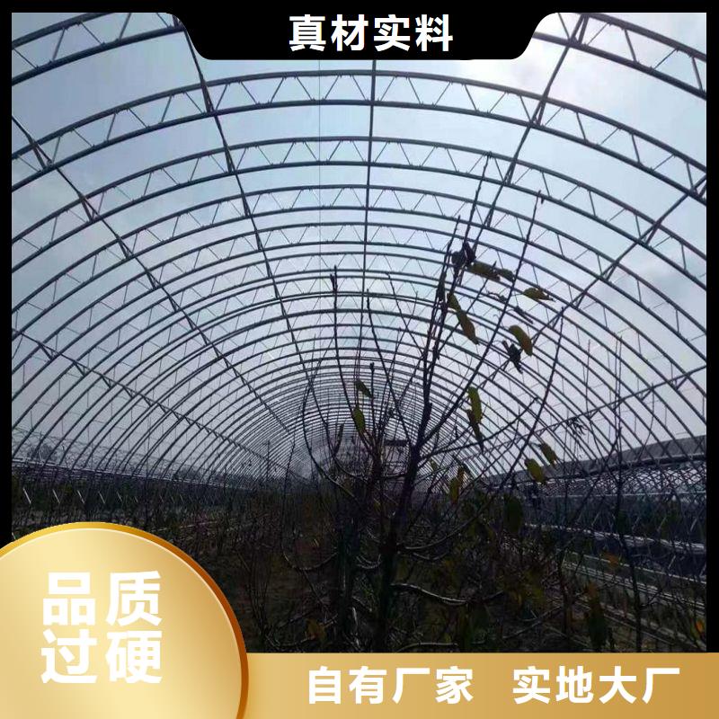 方城县养鹅大棚管配件喜欢