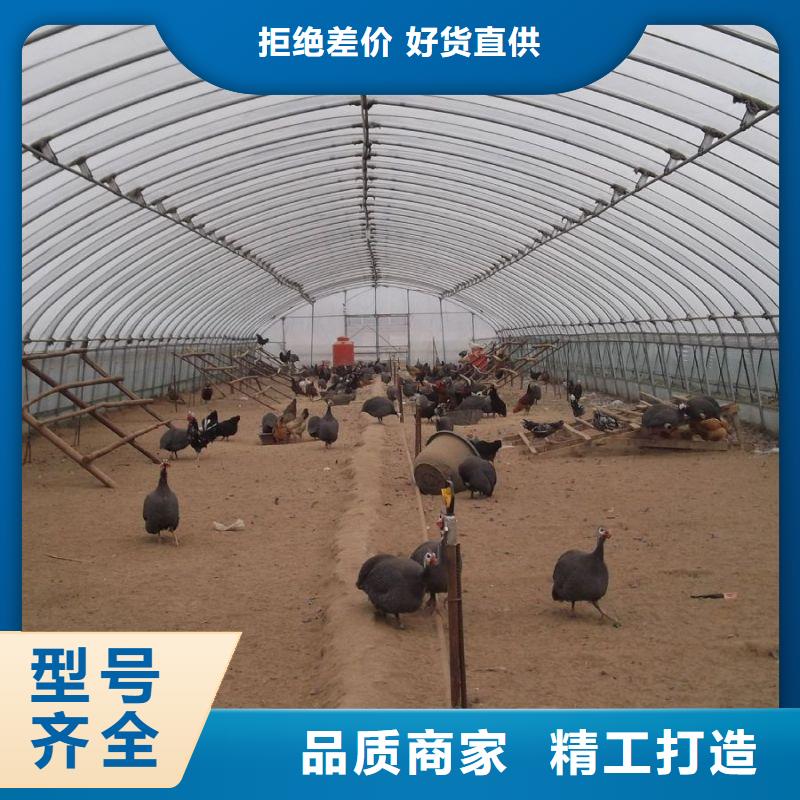 金沙連棟大棚采購價格2025