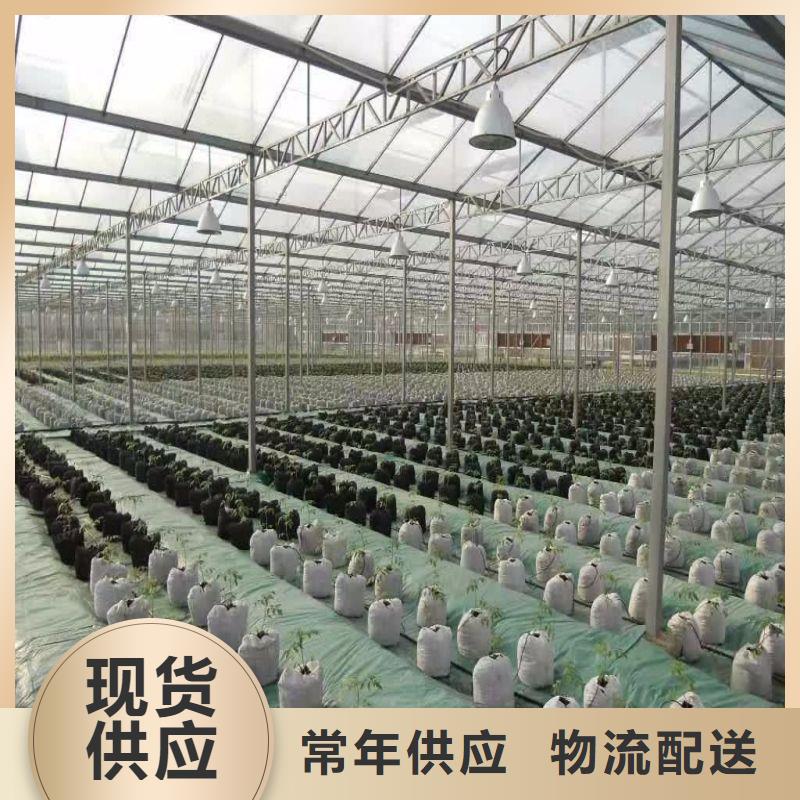 單體溫室喜歡