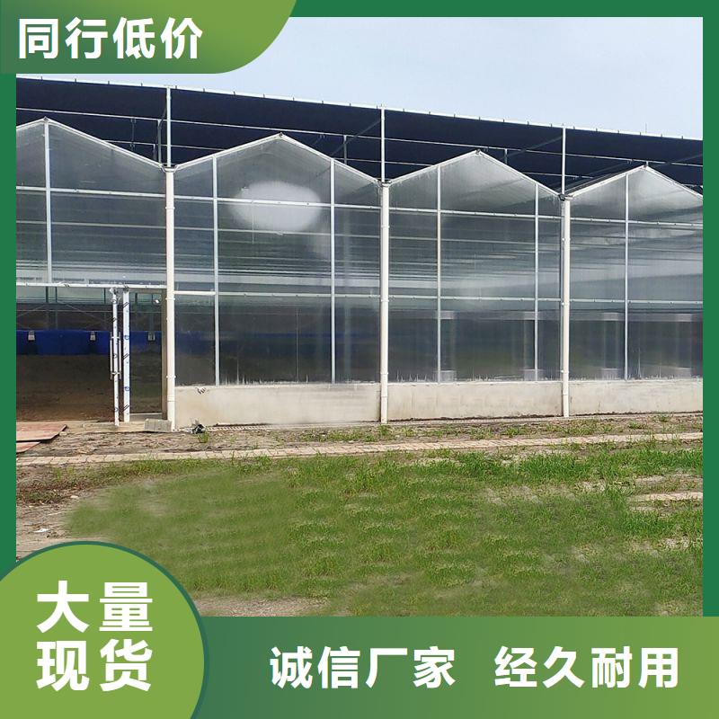 灤南縣蔬菜大棚怎么買