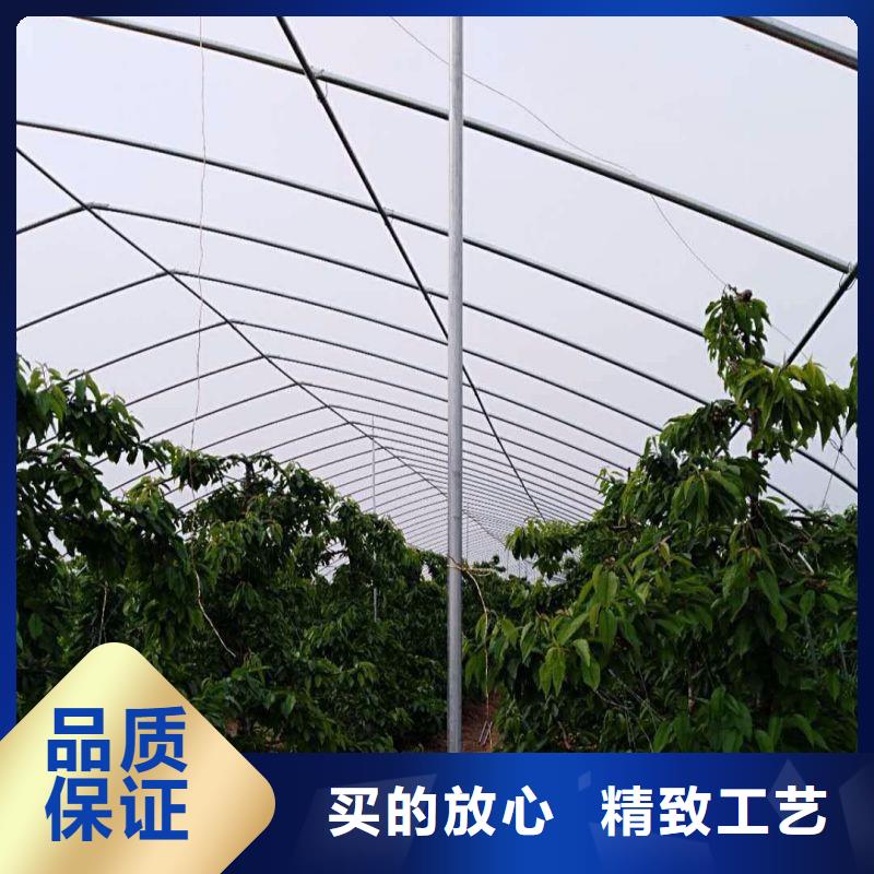 順平縣圓管大棚咋買