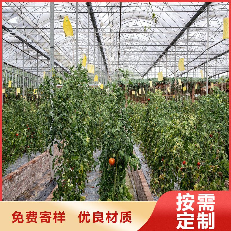 廣東省汕頭市新津街道熱鍍鋅大棚管實力廠家