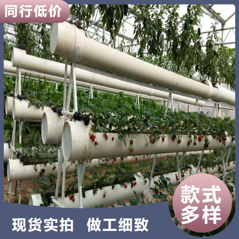 萊城區(qū)熱鍍鋅溫室大棚購買