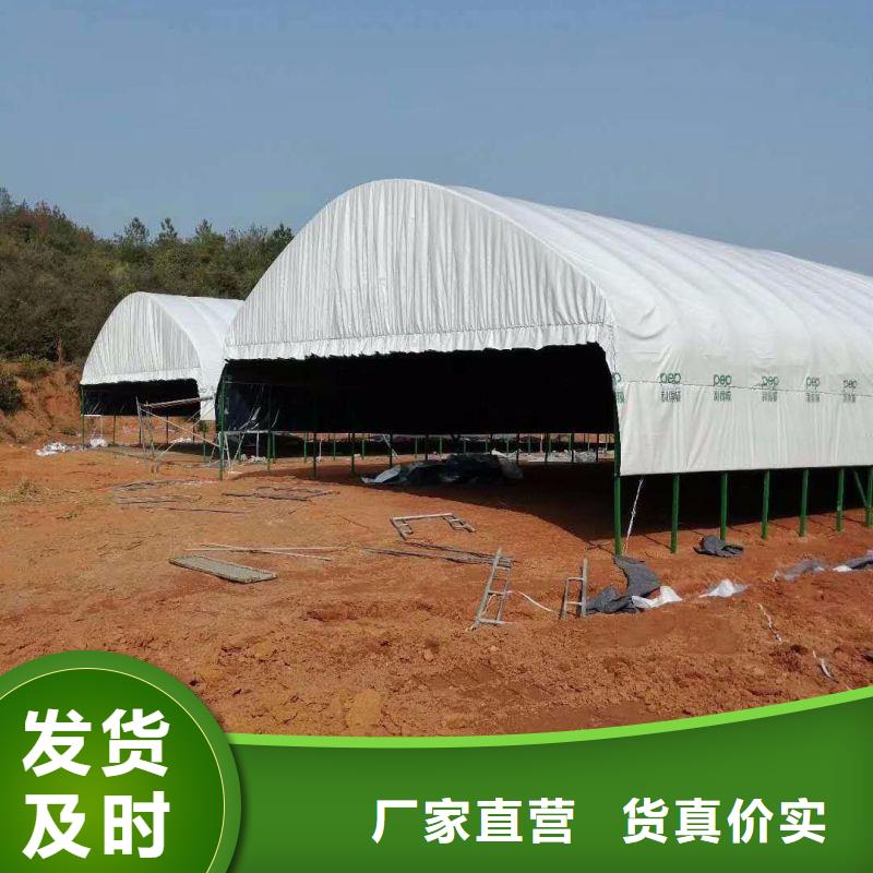 龍鳳區（接頭管）大棚骨架配件靠譜廠家