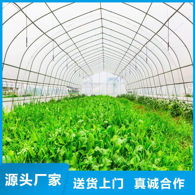 龍鳳區噴淋系統哪里便宜