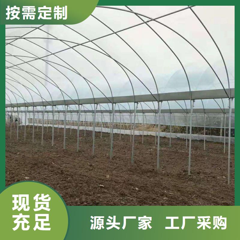 定尺連棟蔬菜大棚管實體廠家
