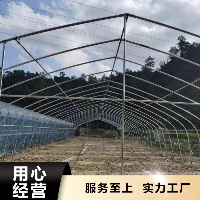 連體大棚哪里便宜