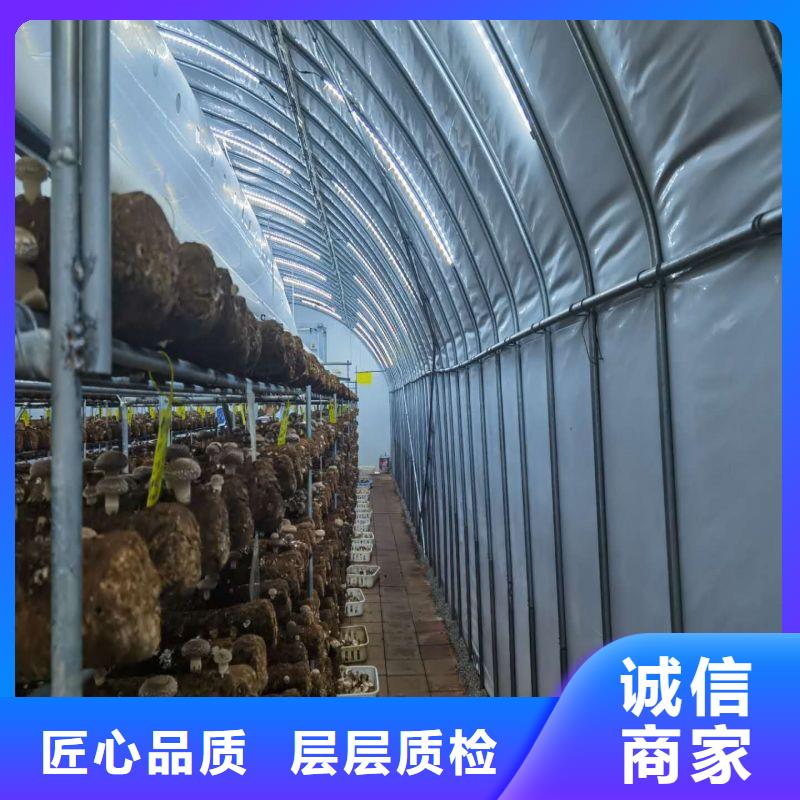大棚管2連棟大棚管放心得選擇
