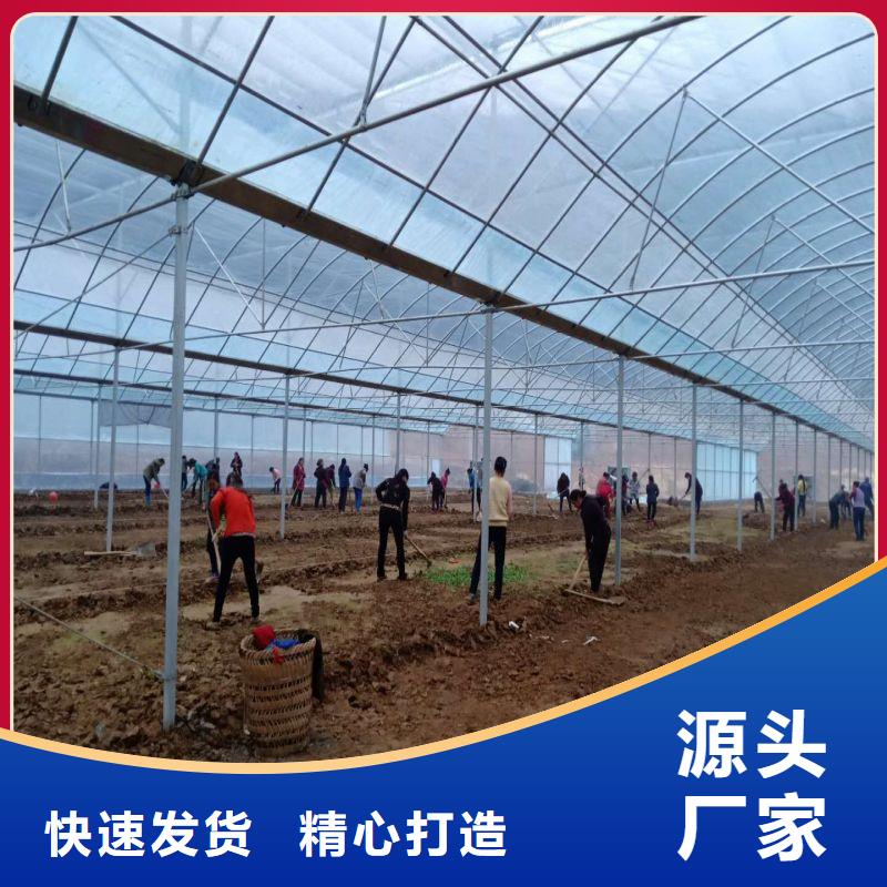 觀瀾街道連棟大棚圖片廠家報價2025