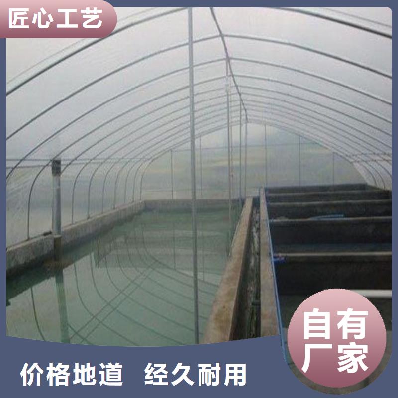 東平4分6分1寸大棚價格合理