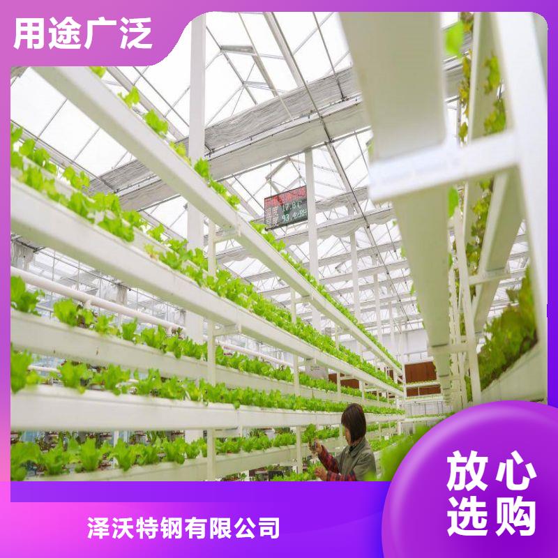 6分25mm蔬菜大棚钢管实体厂家