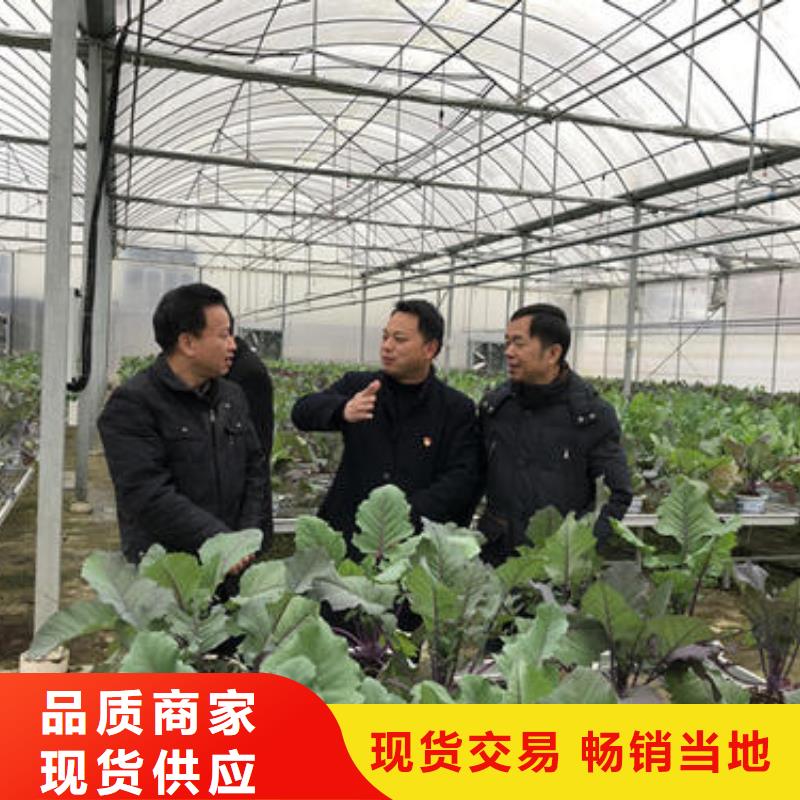 涿州定尺大棚管終身質保