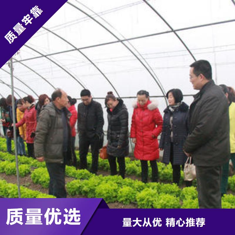 【大棚管】方矩管品质好才是硬道理