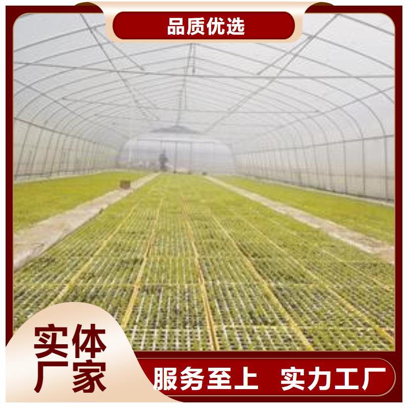  大棚管资质认证