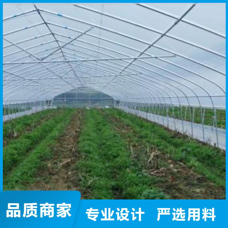 博野鍍鋅大棚鋼管了解更多2025已更新