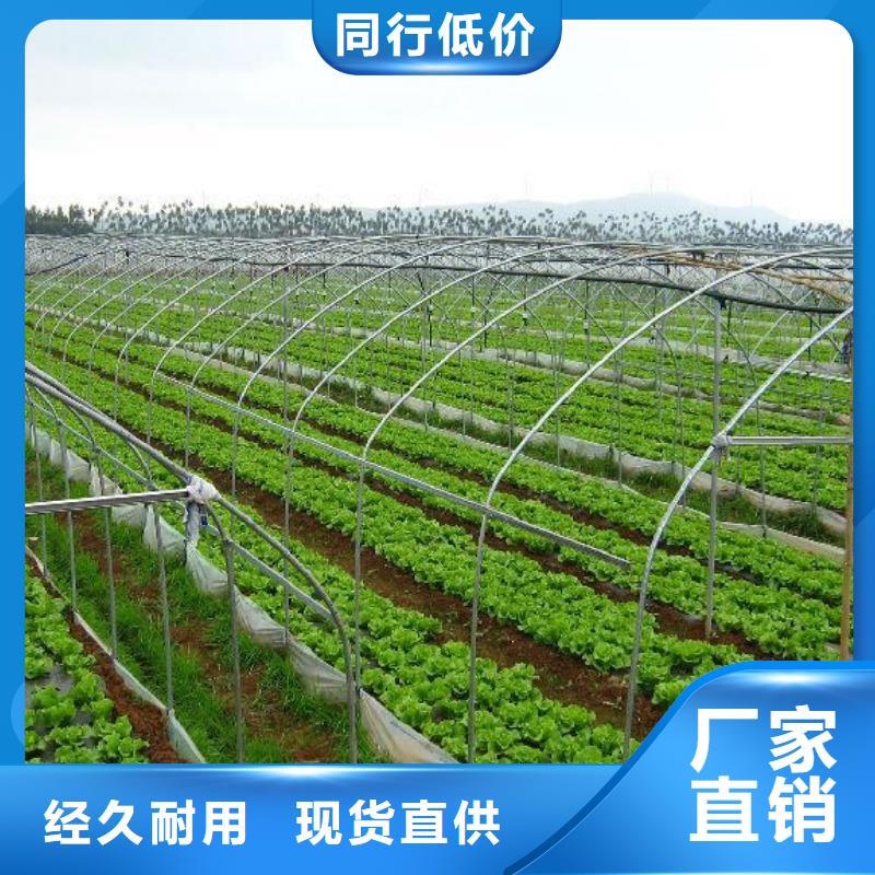 梨樹大棚卡簧無中間商