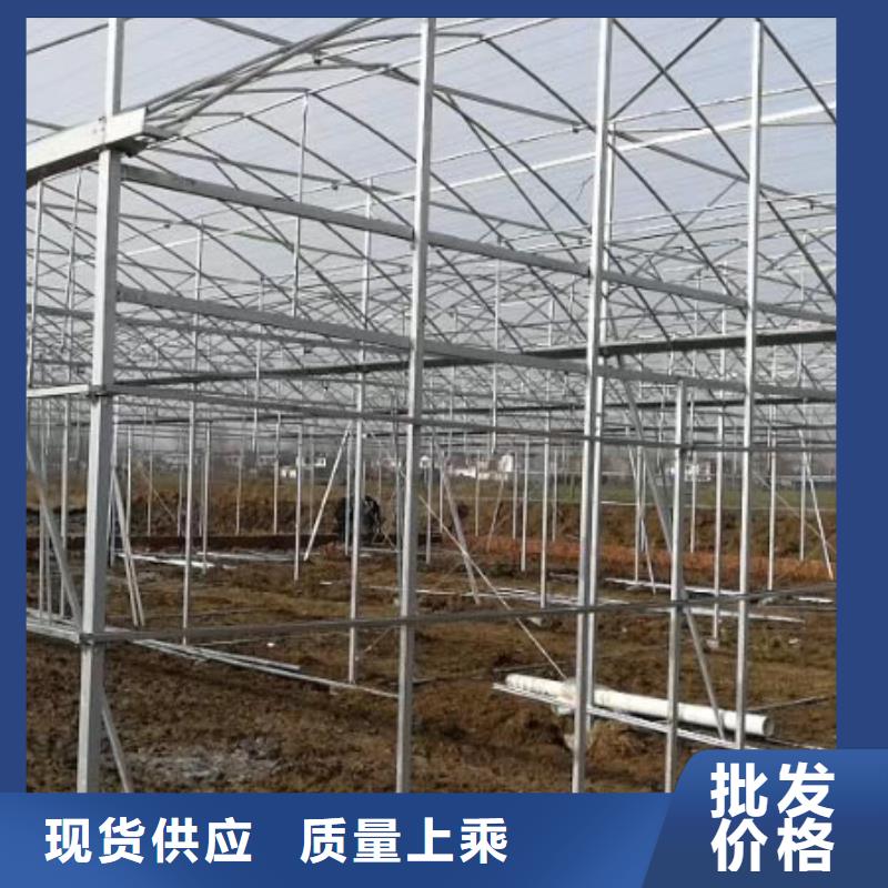 高碑店市大棚管質量放心