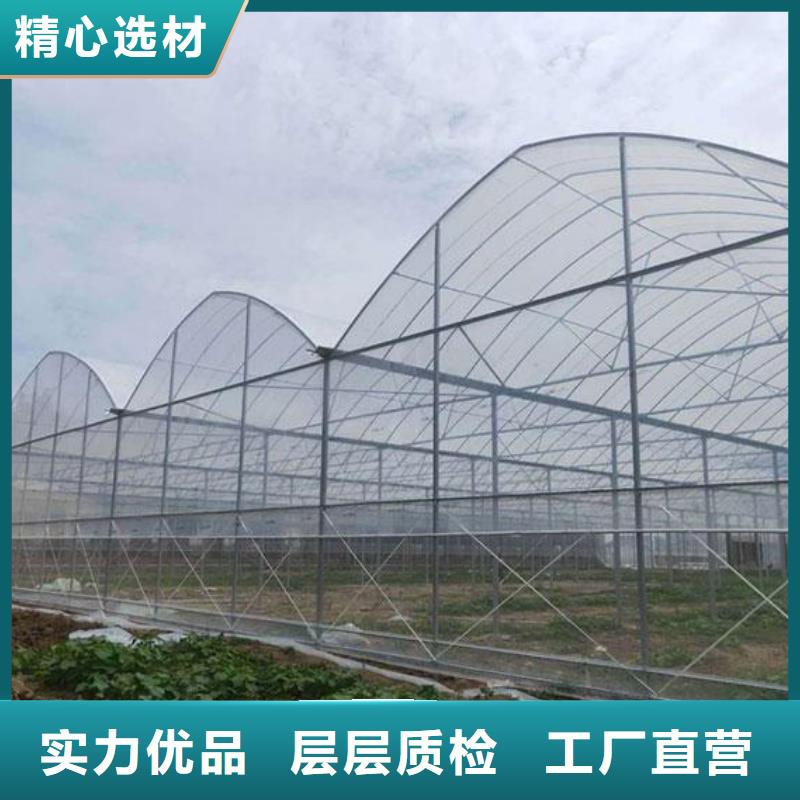 零陵區連棟鋼管骨架蔬菜大棚管二十年建設經驗