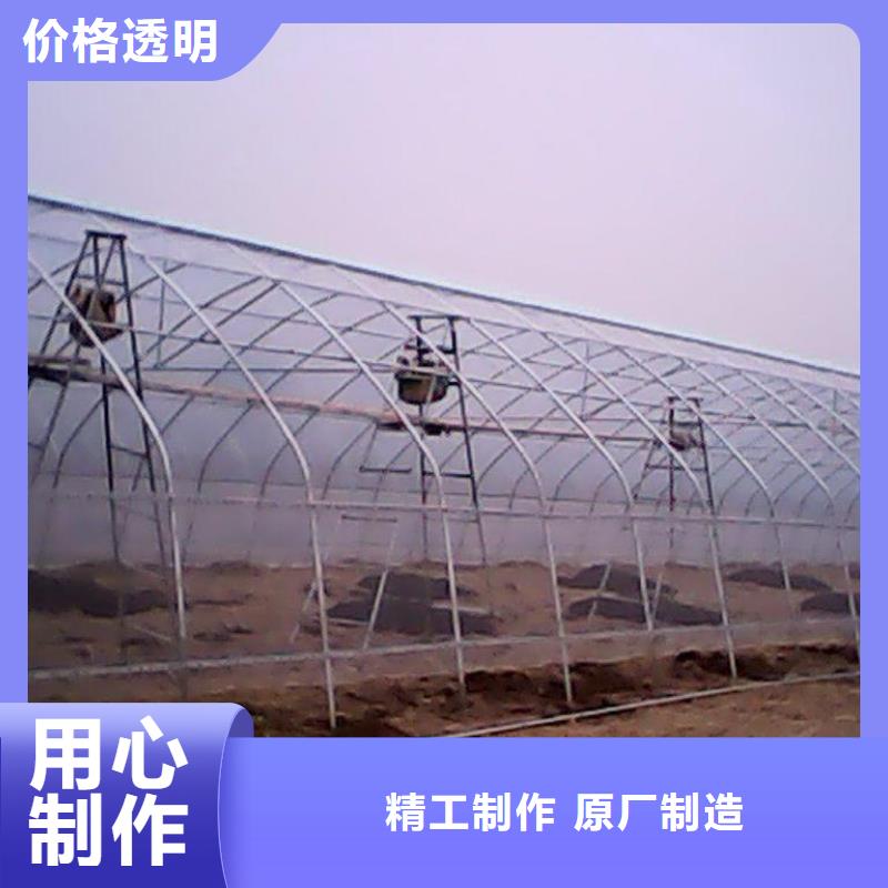 定興縣蔬菜連棟溫室大棚正規廠家