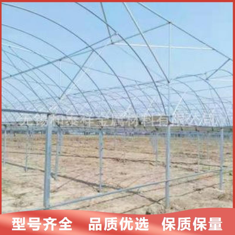 錯那連棟大棚管庫存充足2025已更新