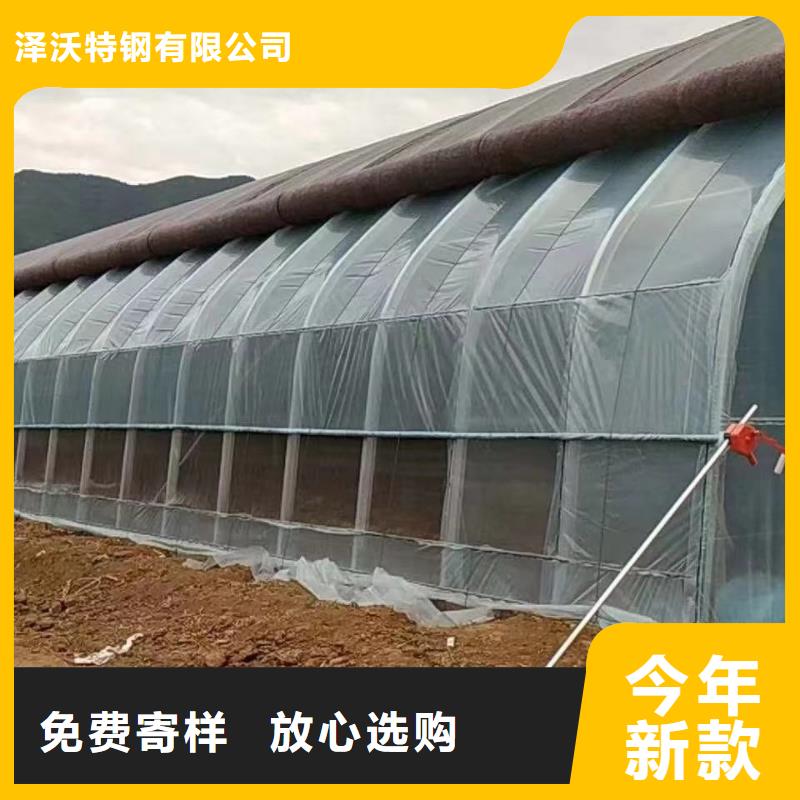 蠡縣大棚鋼管價格合理2025已更新