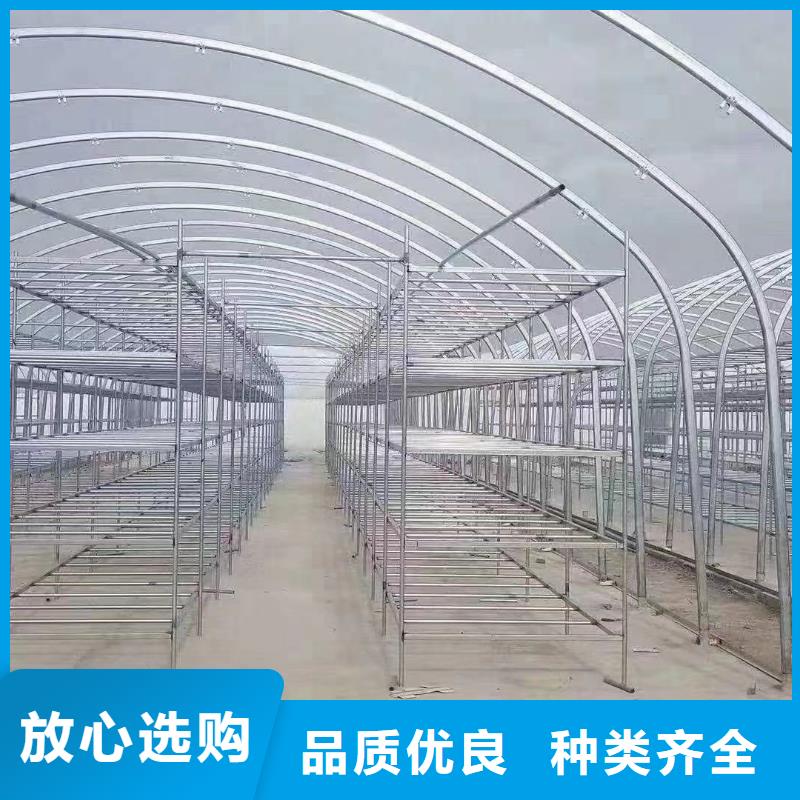 桑日大棚卡簧誠信廠家