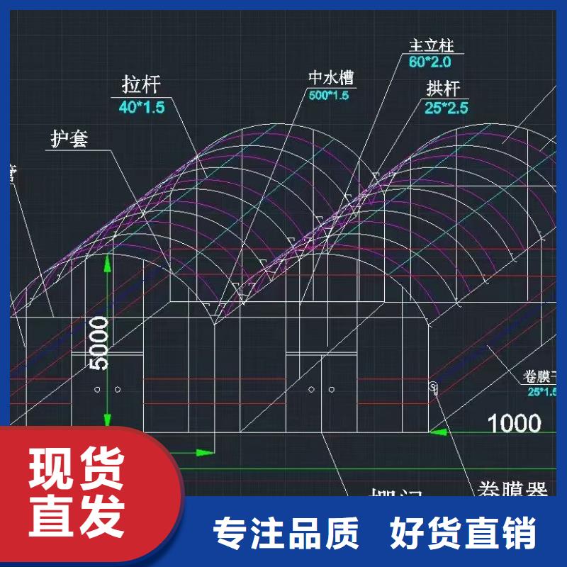 临安定尺大棚管价格低