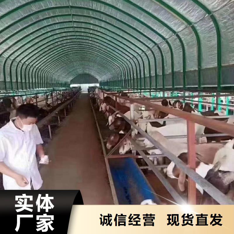 梁子湖區薄壁鍍鋅管安裝視頻查找
