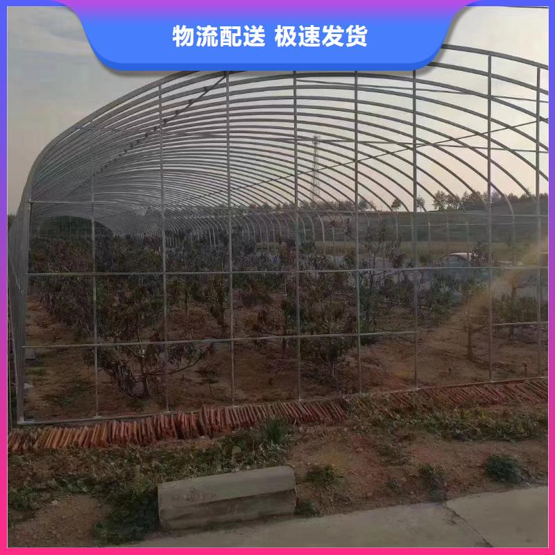 【大棚管】_温室大棚管源头厂家来图定制