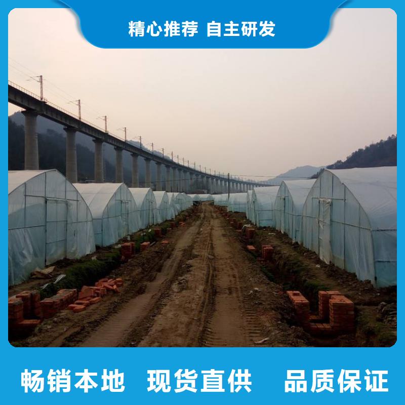 零陵區(qū)連棟鋼管骨架蔬菜大棚管二十年建設(shè)經(jīng)驗