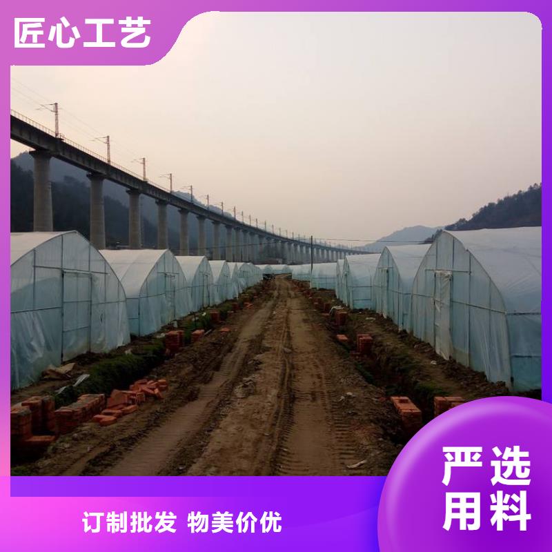 湘桥区连栋【大棚管】安装水平强