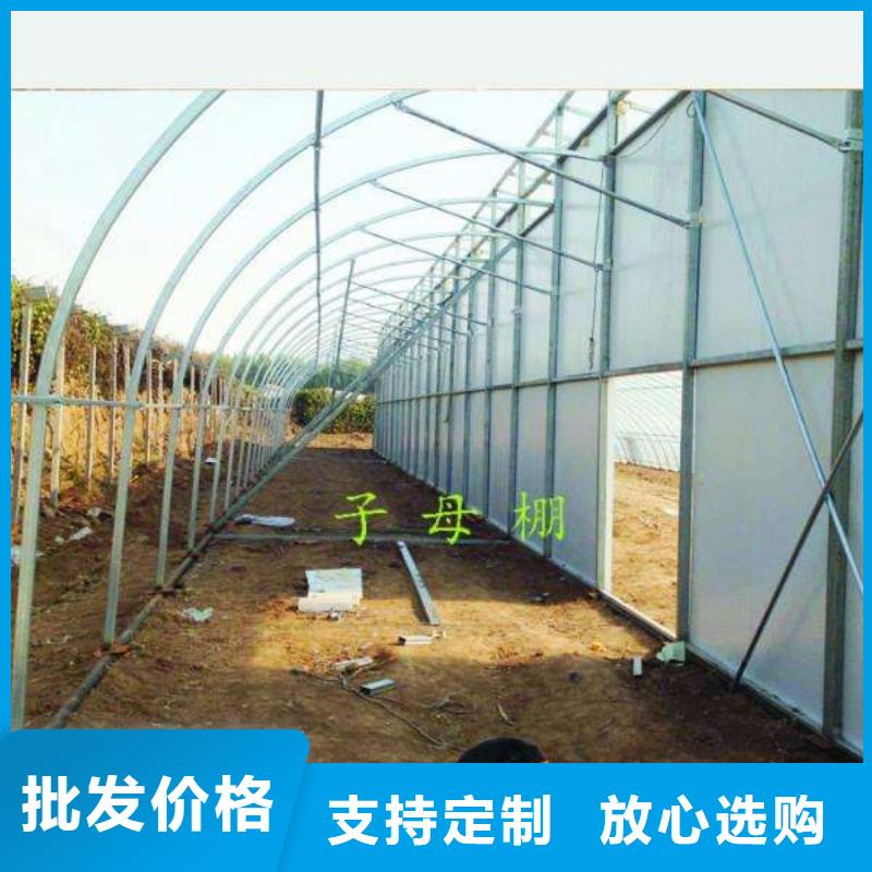 新田縣大棚鋼管廠安裝水平強