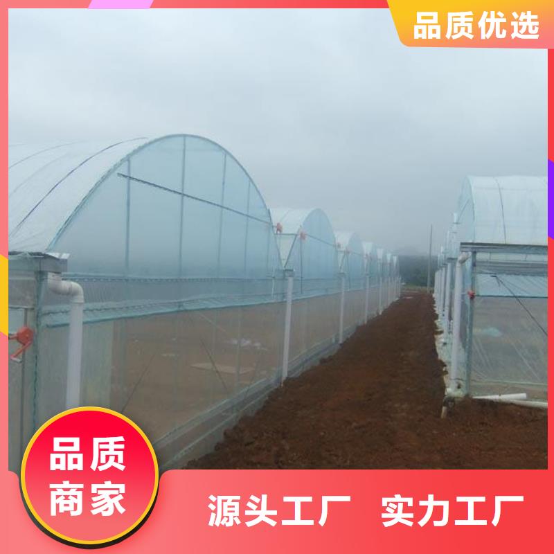 蓮花街道大棚生產