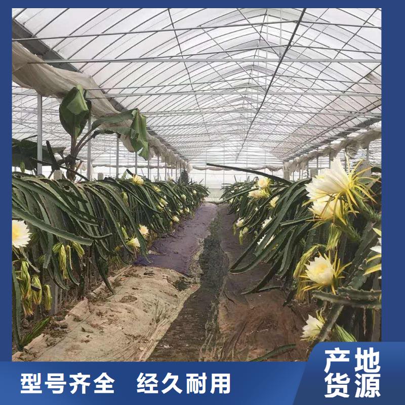 滨城区连栋钢管骨架蔬菜大棚管现货销售