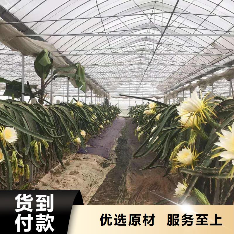 鱼峰区蔬菜，花卉连栋大棚管架加厚锌层