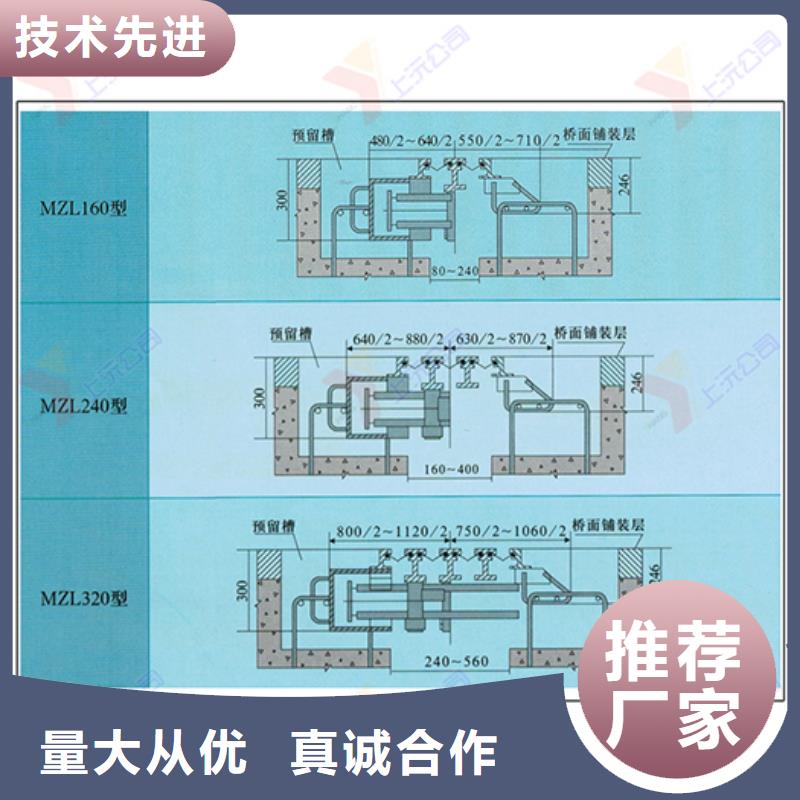 桥梁伸缩缝盆式支座买的放心