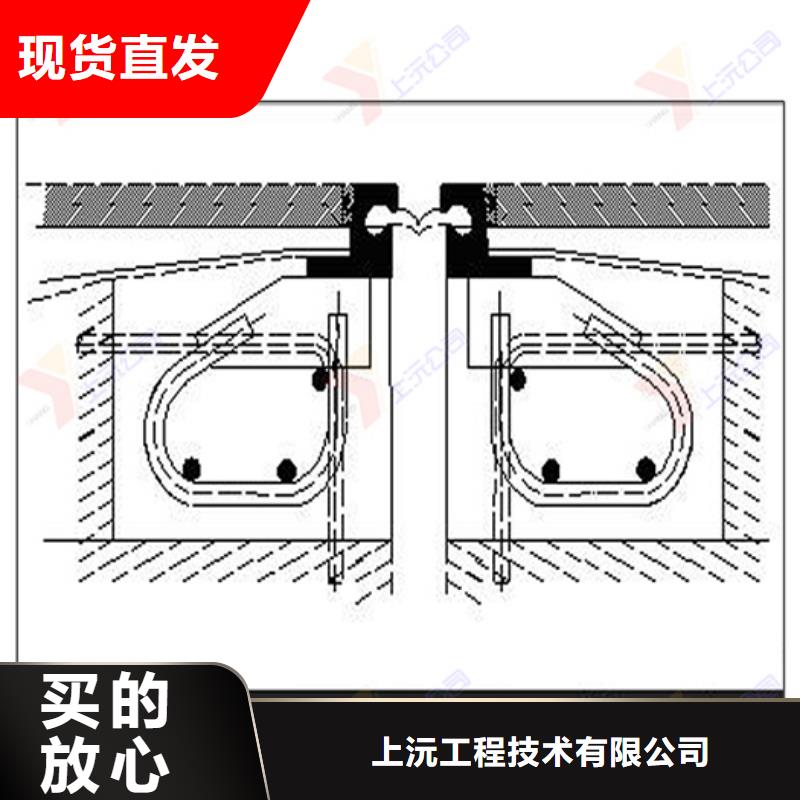 桥梁伸缩缝,单向支座闪电发货