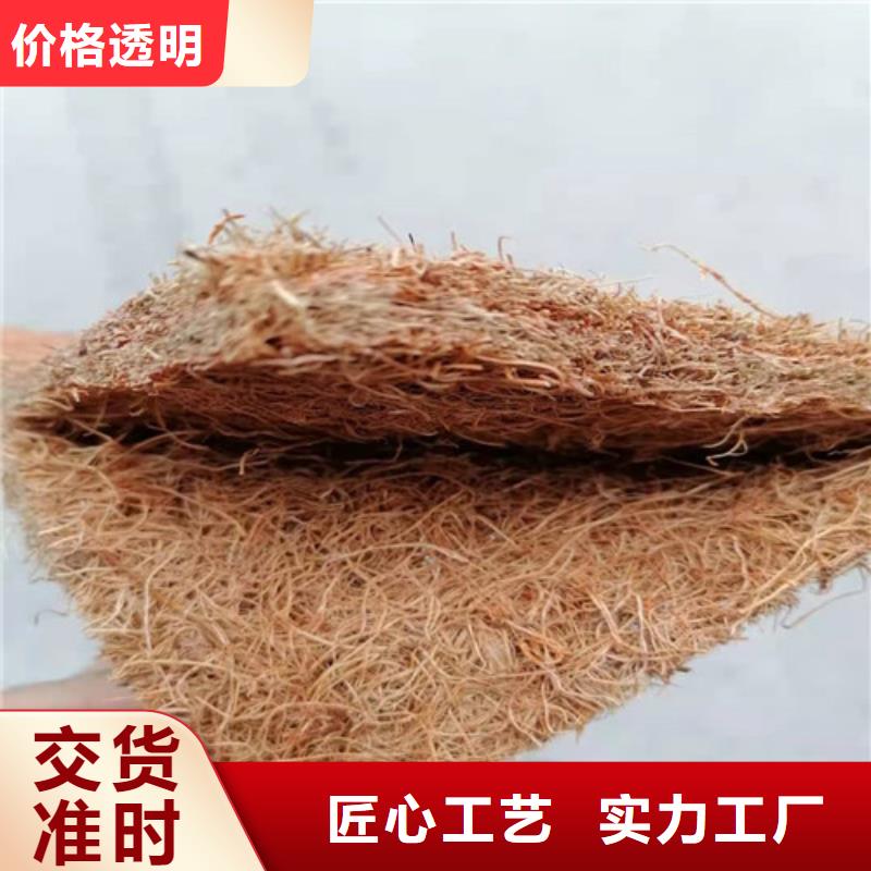 瀝青木板鋼塑土工格柵現貨滿足大量采購