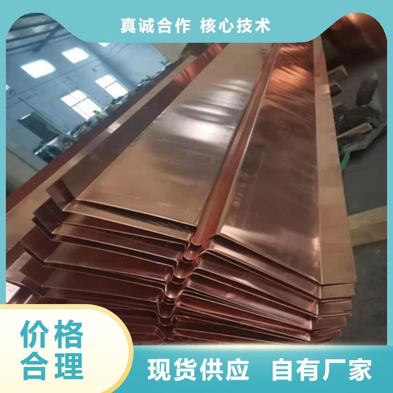 銅排銅片-【凸結(jié)點鋼塑土工格柵】品質(zhì)之選