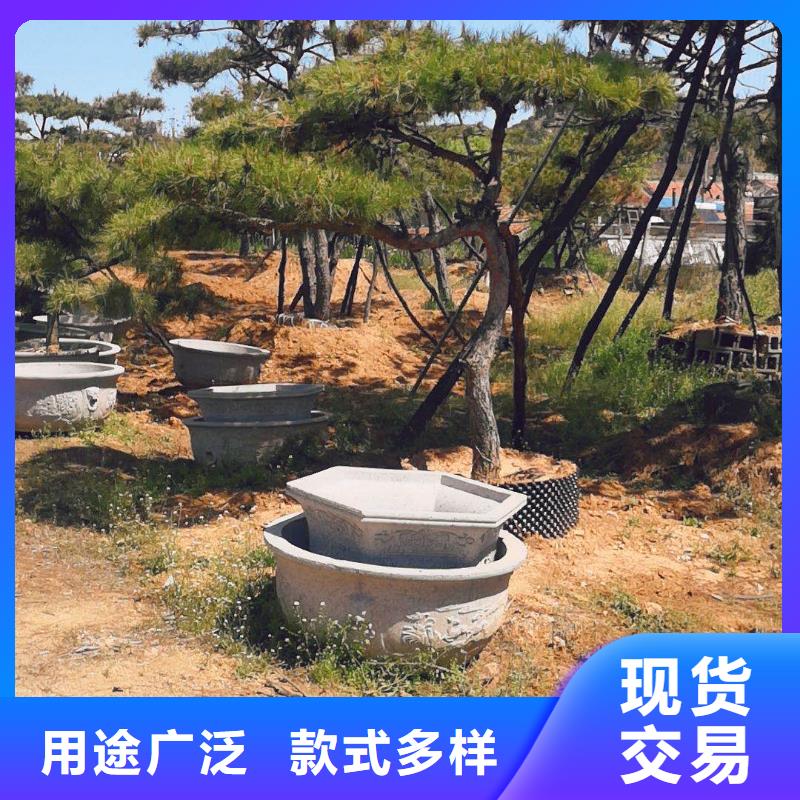 造型松-造型池松快速生产