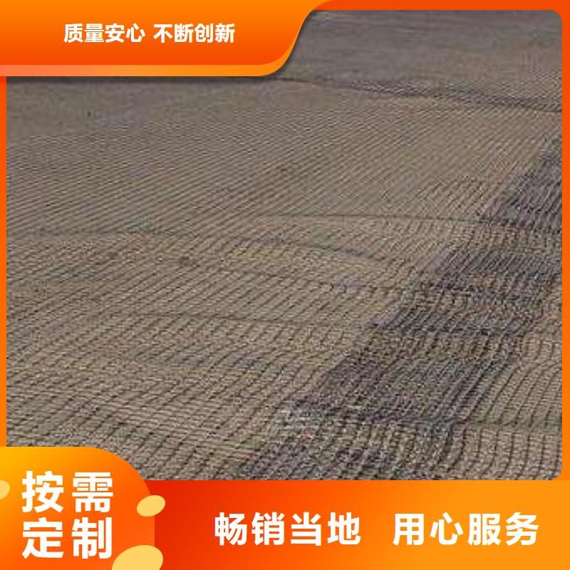 玻纖土工格柵PP焊接土工格柵經(jīng)久耐用