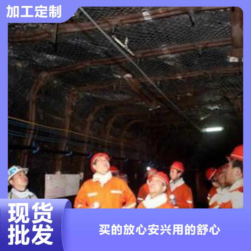 礦用鋼塑復合假頂網-【三維土工網墊】保質保量